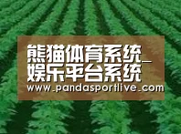 种植基地六(图1)