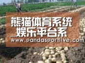 种植基地七(图1)