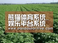 种植基地五(图1)