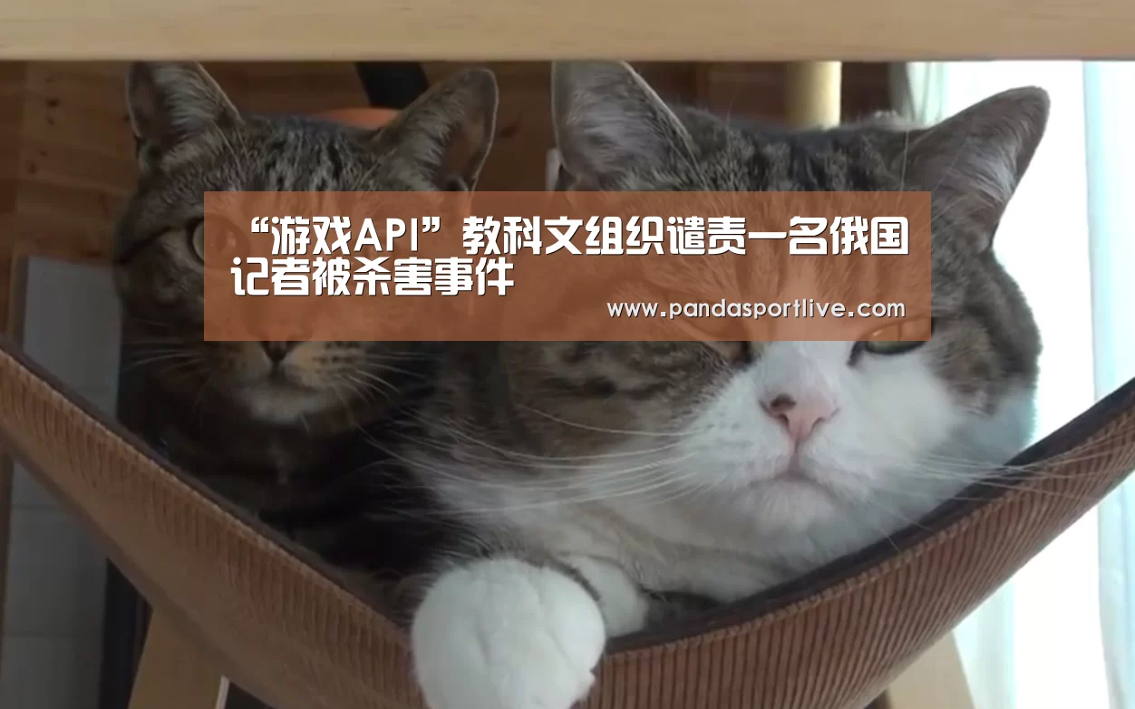 “游戏API”教科文组织谴责一名俄国记者被杀害事件(图3) 熊猫体育