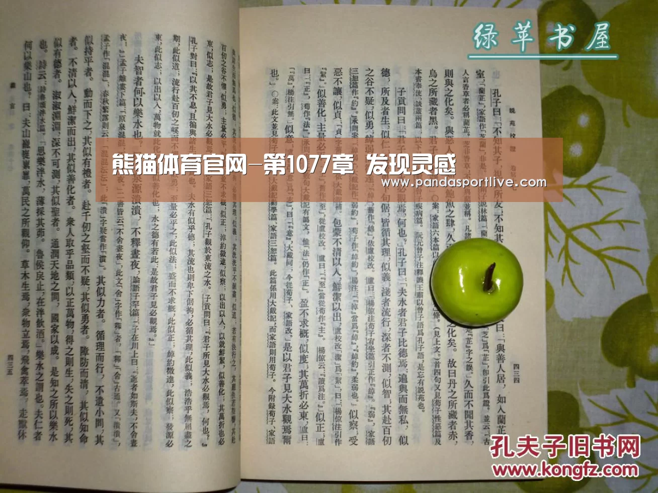 熊猫体育官网-第1077章 发现灵感(图1) 熊猫体育官网
