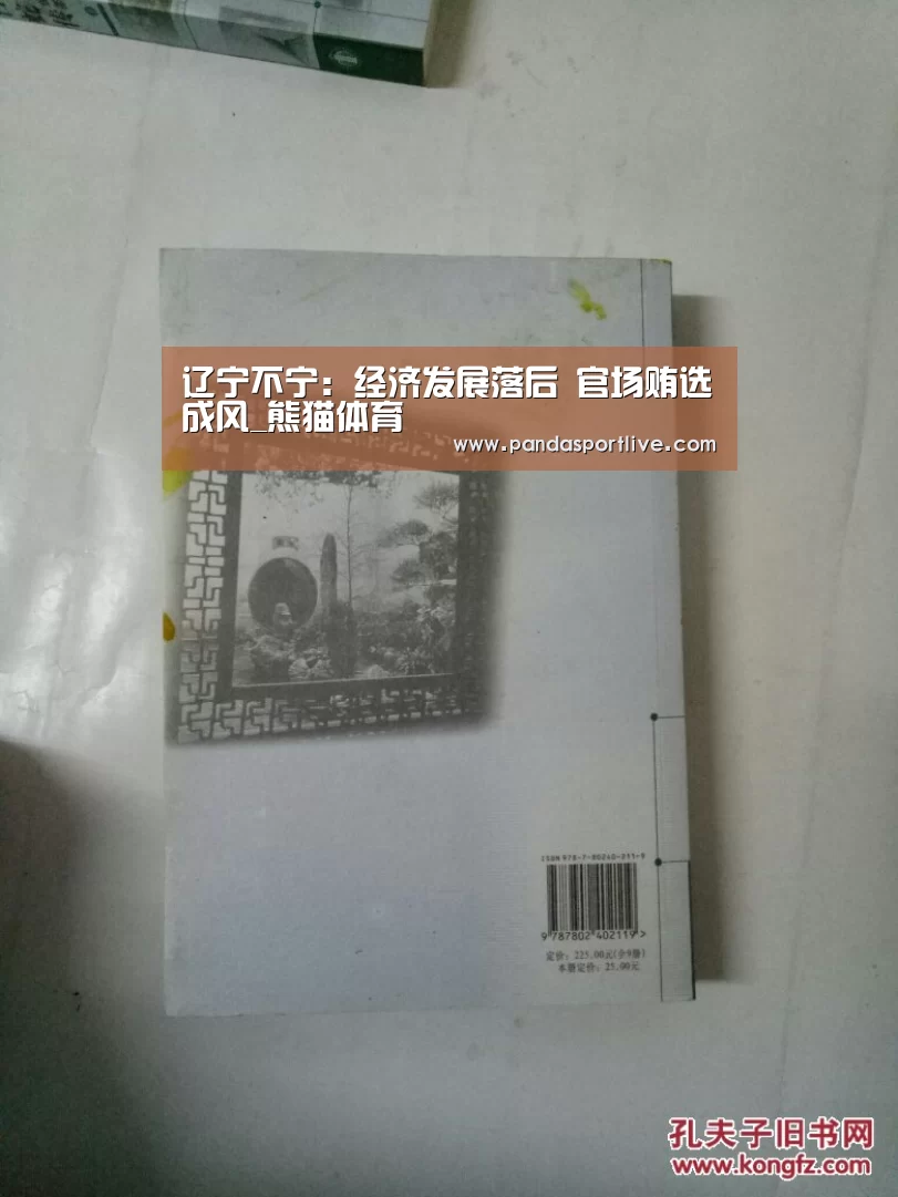 熊猫体育官网